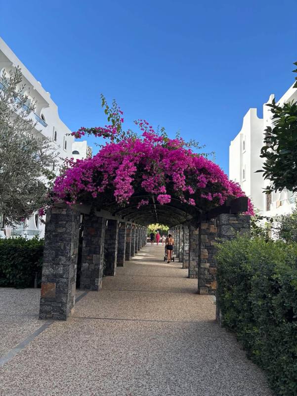 Photo de voyageur — Cyclades