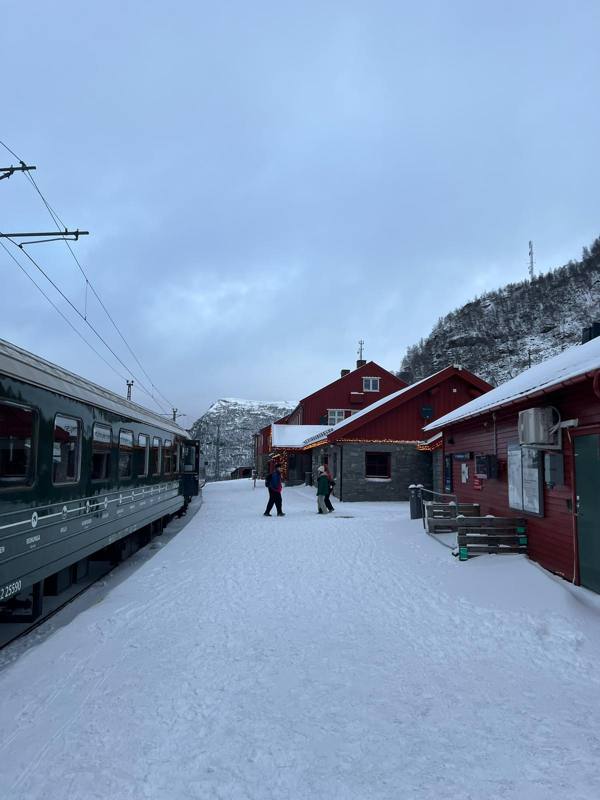 Photo de voyageur — Flåm
